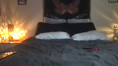 Indigo Bay online show from 16, 2, 2025