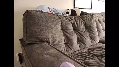 Indigo Star online show from 14, 2, 2025