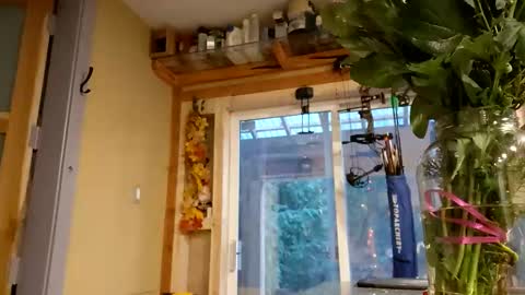 Snapshot of info_chat chatting on 14, 2, 2026 sir. Grummps online show from 14, 2, 2026