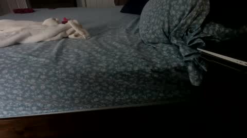 InsatiableCpl333 online show from 23, 1, 2025