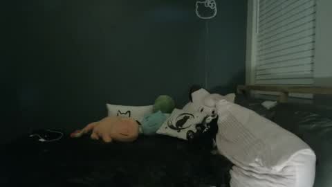 Snapshot of internetangels chatting on 11, 12, 2024 Angel online show from 11, 12, 2024