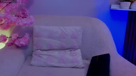    online show from 23, 11, 2025