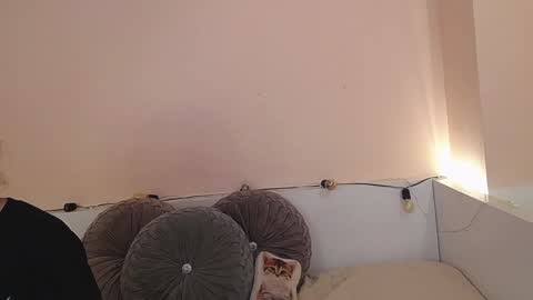 Snapshot of isabella__dark chatting on 21, 12, 2024    online show from 21, 12, 2024