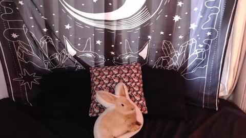 Snapshot of isabella__dark chatting on 3, 1, 2025    online show from 3, 1, 2025