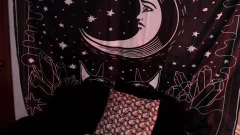 Snapshot of isabella__dark chatting on 7, 1, 2025    online show from 7, 1, 2025