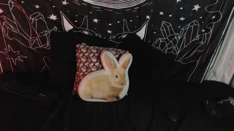 Snapshot of isabella__dark chatting on 12, 1, 2025    online show from 12, 1, 2025