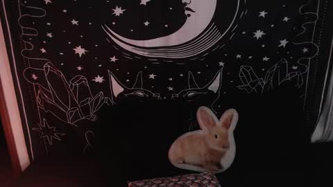 Snapshot of isabella__dark chatting on 23, 1, 2025    online show from 23, 1, 2025