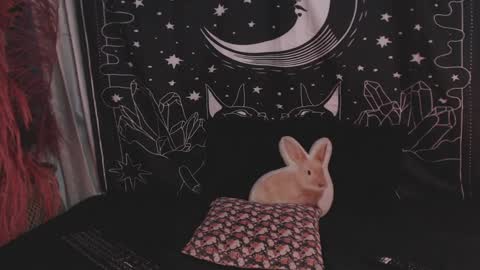 Snapshot of isabella__dark chatting on 29, 1, 2025    online show from 29, 1, 2025