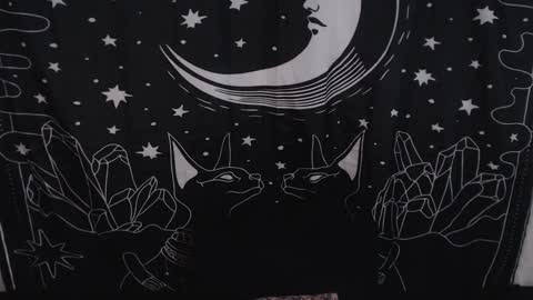 Snapshot of isabella__dark chatting on 31, 1, 2025    online show from 31, 1, 2025