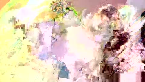 Snapshot of islandboy_ethan chatting on 13, 5, 2026 Nathaniel online show from 13, 5, 2026
