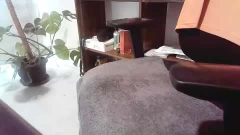 Snapshot of islandforfun chatting on 20, 11, 2025 islandforfun online show from 20, 11, 2025