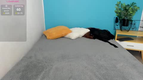 Snapshot of issa_nassar chatting on 27, 2, 2025 Issa online show from 27, 2, 2025