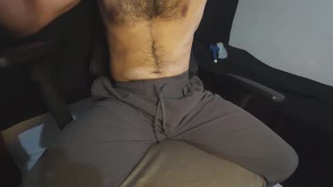 erdem online show from 13, 11, 2025