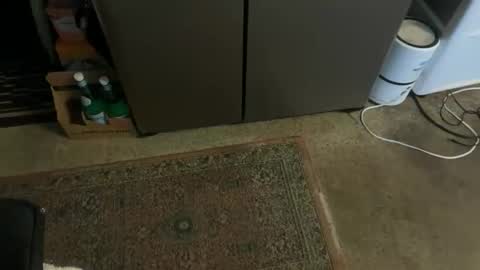 Snapshot of italiano9in chatting on 3, 11, 2025 Tony online show from 3, 11, 2025