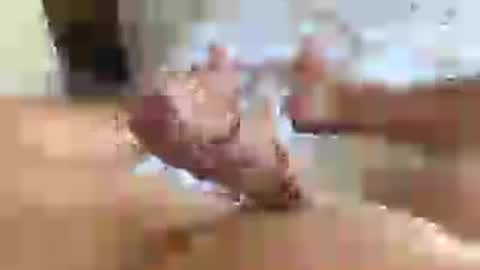 italianxsalami online show from 16, 7, 2026