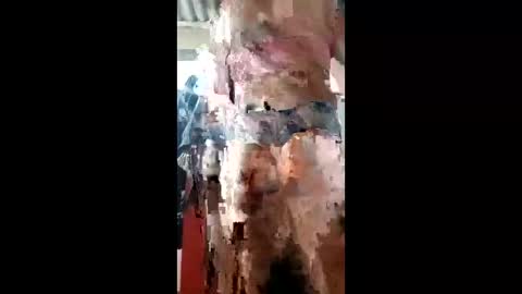 ivanaltrans62 online show from 11, 1, 2026