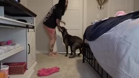 ivey jade online show from 5, 11, 2025