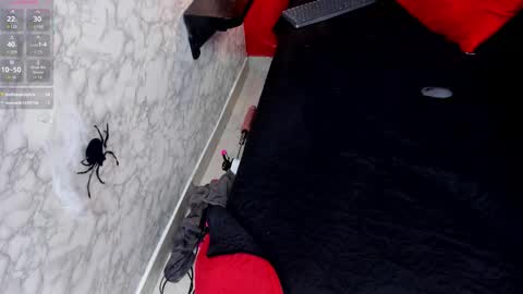 Snapshot of ivisbouncyass chatting on 25, 10, 2025 Ivis online show from 25, 10, 2025