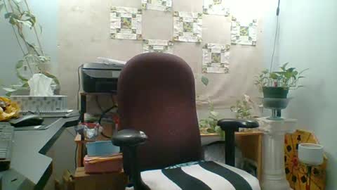 ivyjane3522 online show from 17, 6, 2026