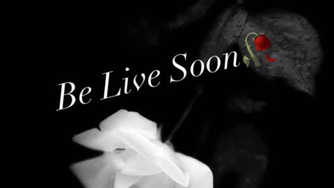 Ivy Rosie online show from 20, 11, 2025