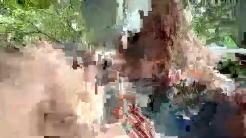 ivysagex online show from 20, 12, 2025