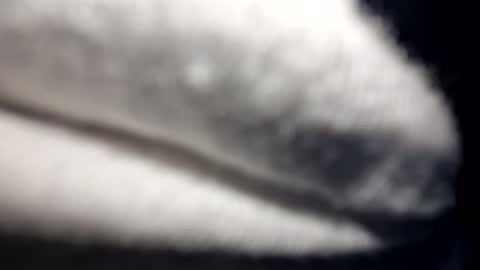 jack5ddddd online show from 26, 3, 2026