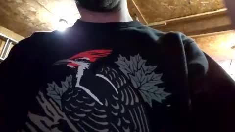 Dess online show from 5, 1, 2025