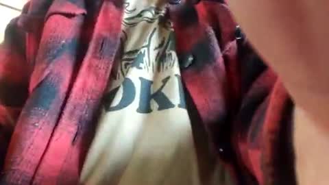 Dess online show from 15, 4, 2026