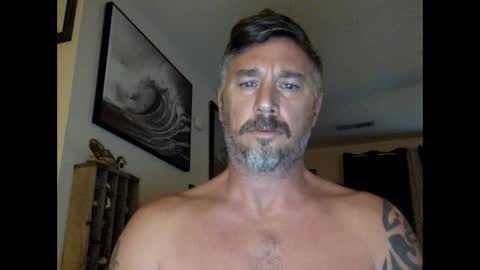 jackhammerhead online show from 4, 12, 2024