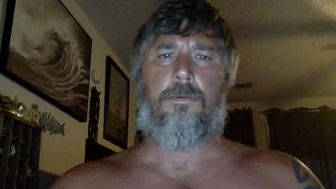 jackhammerhead online show from 13, 7, 2026