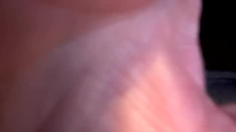 jackjackerman online show from 28, 3, 2026