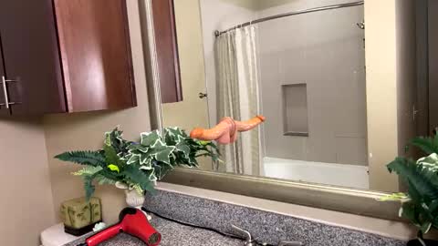 Snapshot of jacksoftboy chatting on 12, 2, 2026 Jack Xavier Missy online show from 12, 2, 2026