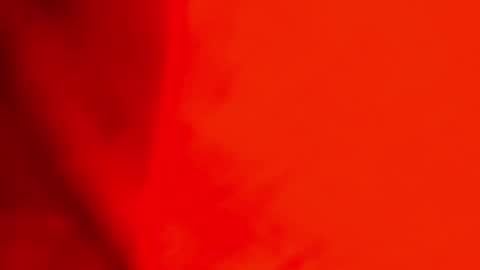 Jackson Bell online show from 23, 12, 2024