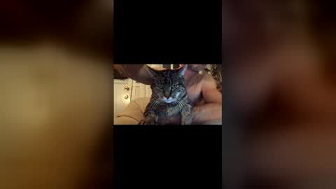 Snapshot of jacobmotes chatting on 17, 12, 2025 Jacob online show from 17, 12, 2025