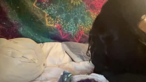 Jadexbabe online show from 27, 1, 2025