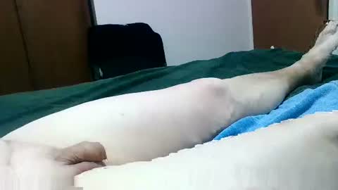 Jaks online show from 26, 1, 2025