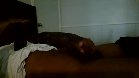 Jamacian online show from 2, 1, 2025