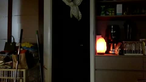 jamesmo820913 online show from 25, 10, 2025