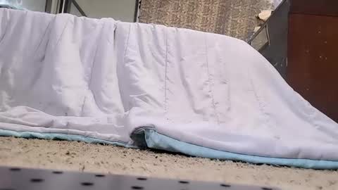 Snapshot of jamwarnerone chatting on 20, 2, 2026 Bootyshows online show from 20, 2, 2026