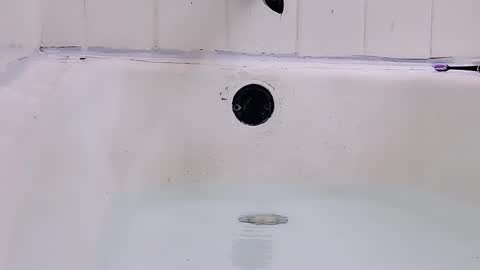 Snapshot of jamwarnerone chatting on 1, 3, 2026 Bootyshows online show from 1, 3, 2026