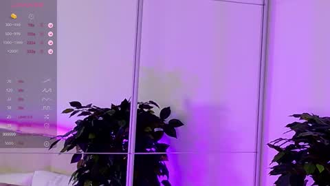 Snapshot of jane_meys chatting on 14, 12, 2025 your kitty JANE roawww online show from 14, 12, 2025