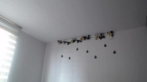 Jane online show from 20, 1, 2025