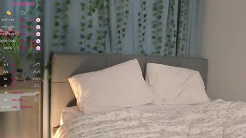 janetfletcher online show from 11, 2, 2025