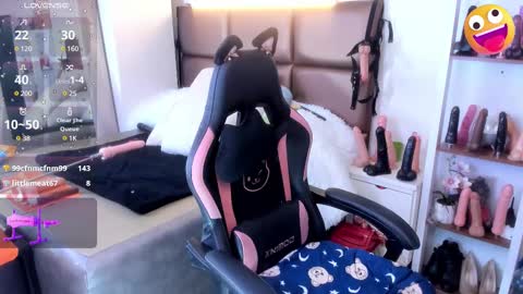 Janette rider online show from 26, 2, 2025