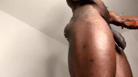 Janstallionx Independent official account online show from 12, 2, 2026