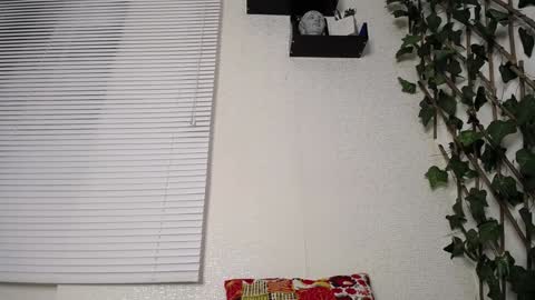 Snapshot of jasson_king01 chatting on 15, 1, 2025 JKing online show from 15, 1, 2025