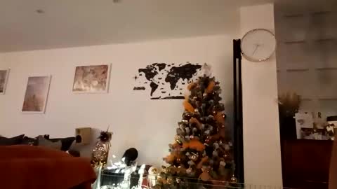 jaycat73 online show from 29, 12, 2024