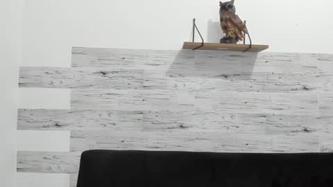 Jaycreedd online show from 15, 1, 2025