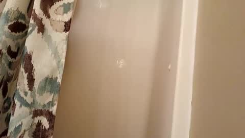 Snapshot of jaywulf22 chatting on 4, 11, 2025 jaywulf22 online show from 4, 11, 2025