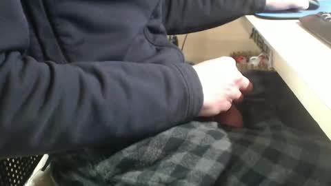 jc200000 online show from 29, 1, 2025